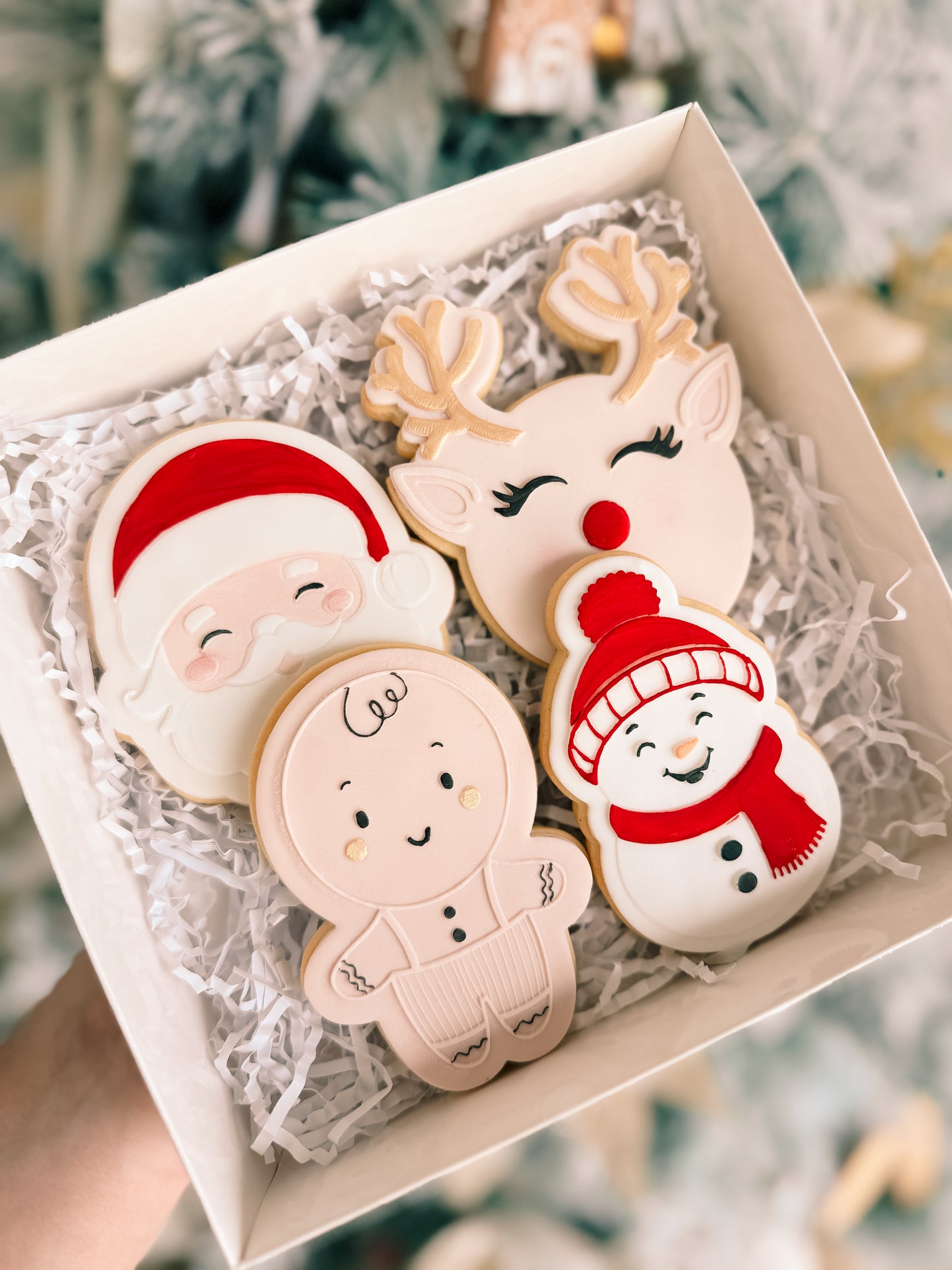4 Pack Christmas Sugar Cookies