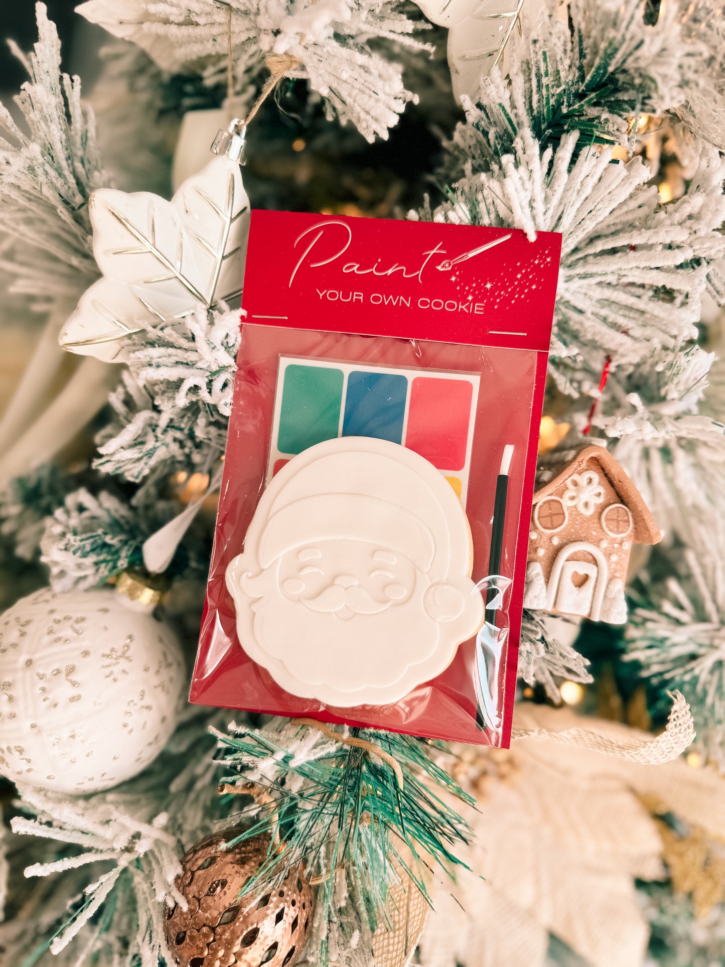 Paint Your Own Santa