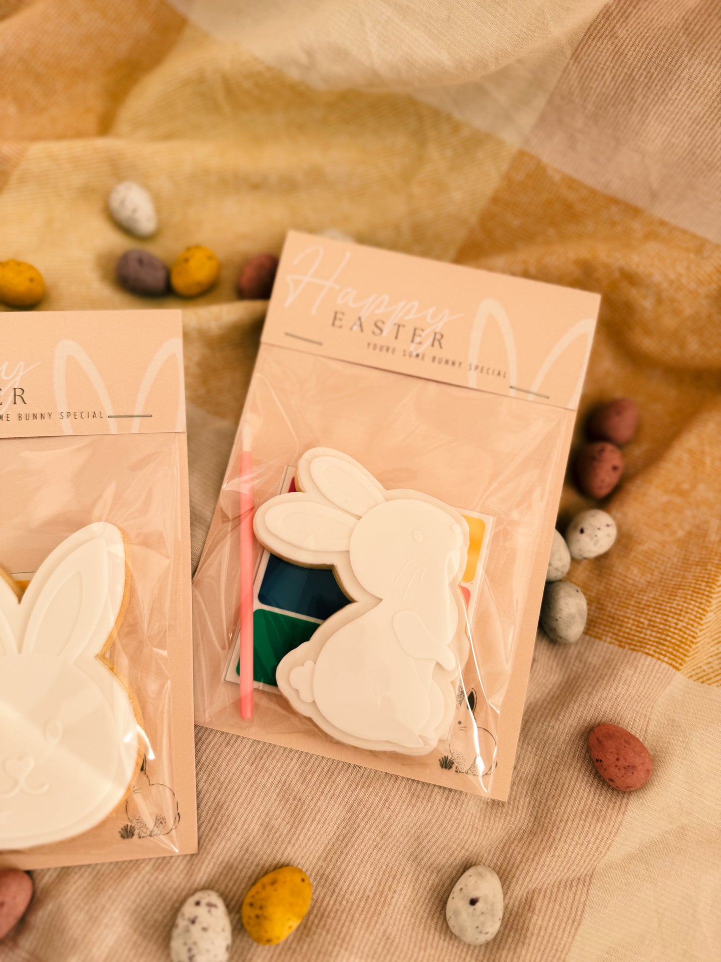 Paint Your Own Bunny