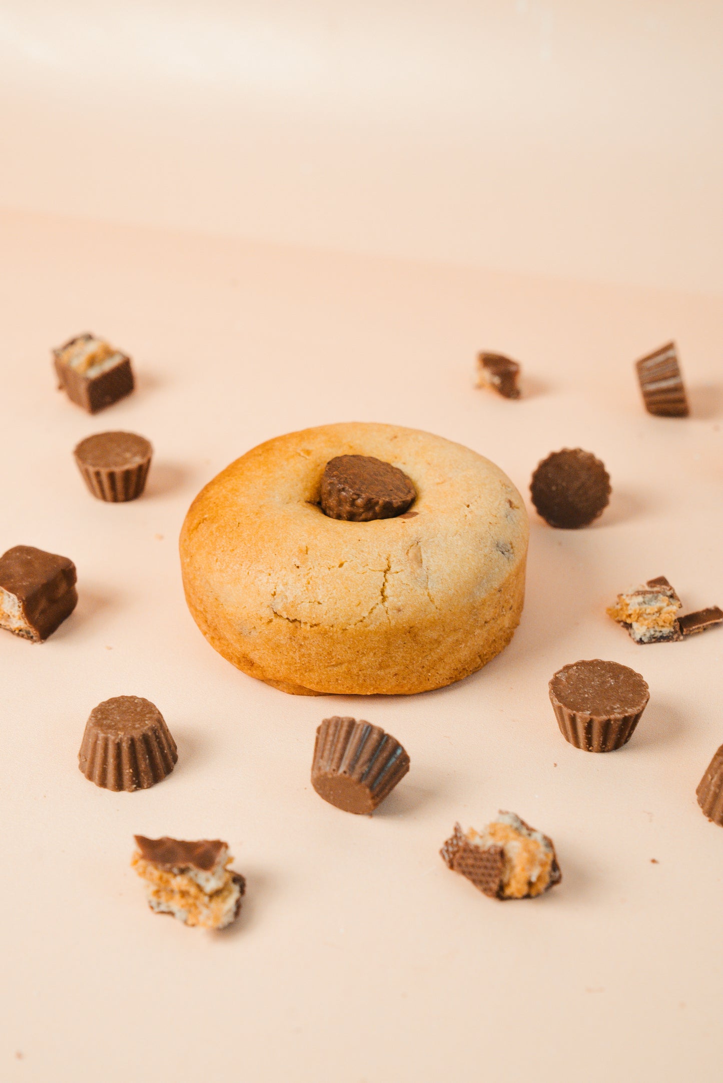 Nuts about Cookies Box