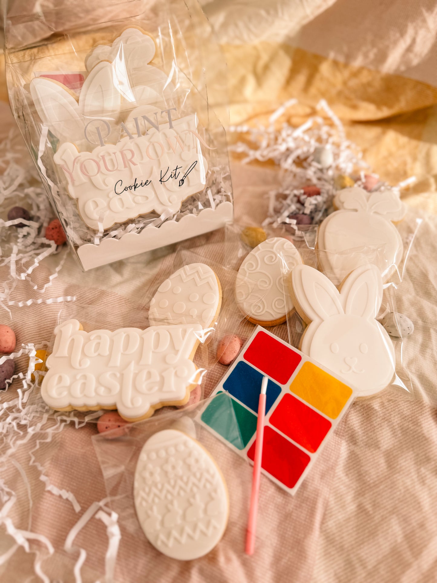 Paint Your Own Cookie Kit