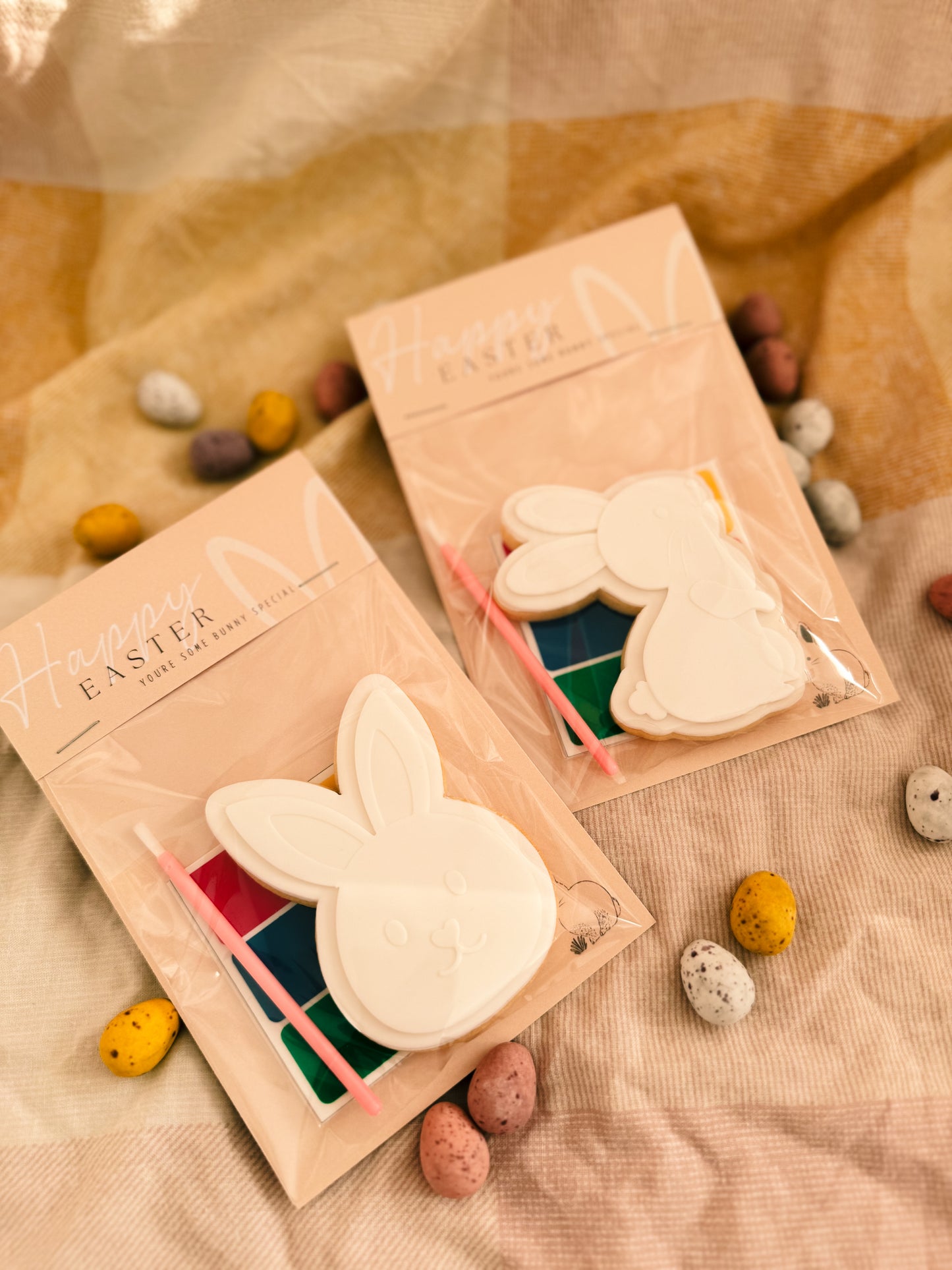Paint Your Own Bunny Face