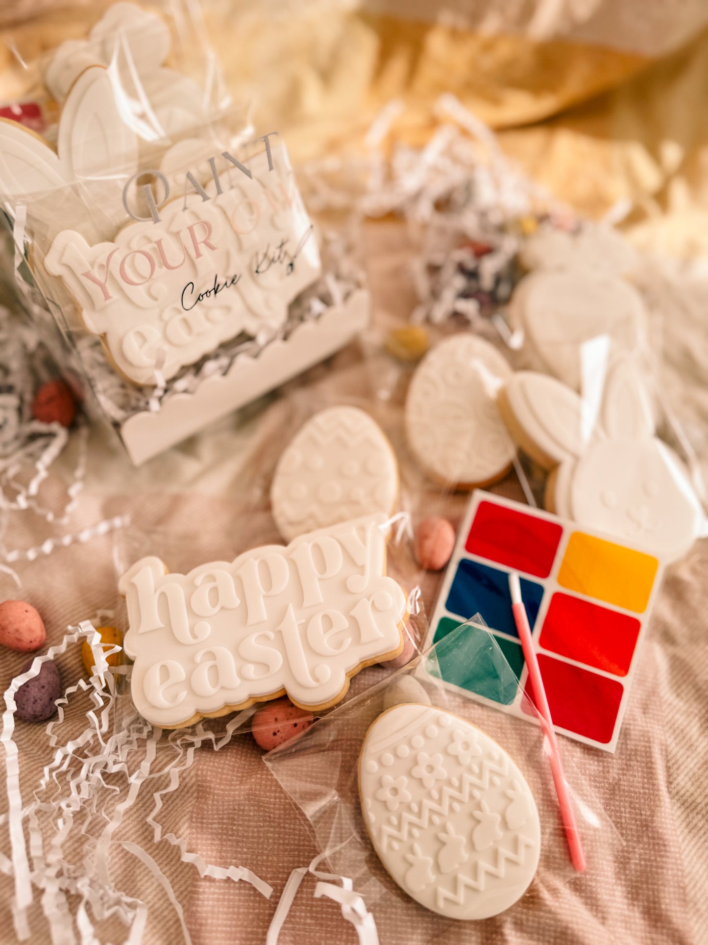 Paint Your Own Cookie Kit