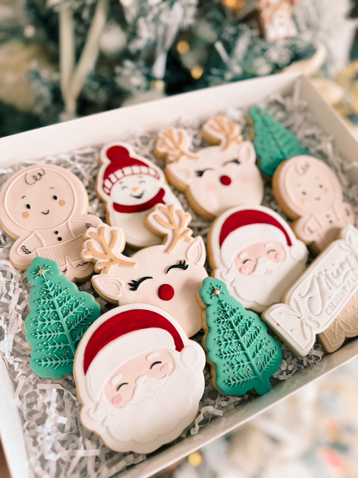 Dozen Christmas Cookies Gift Pack