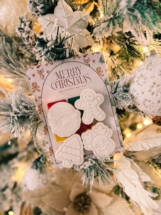 Paint Your Own Mini Cookie Kit